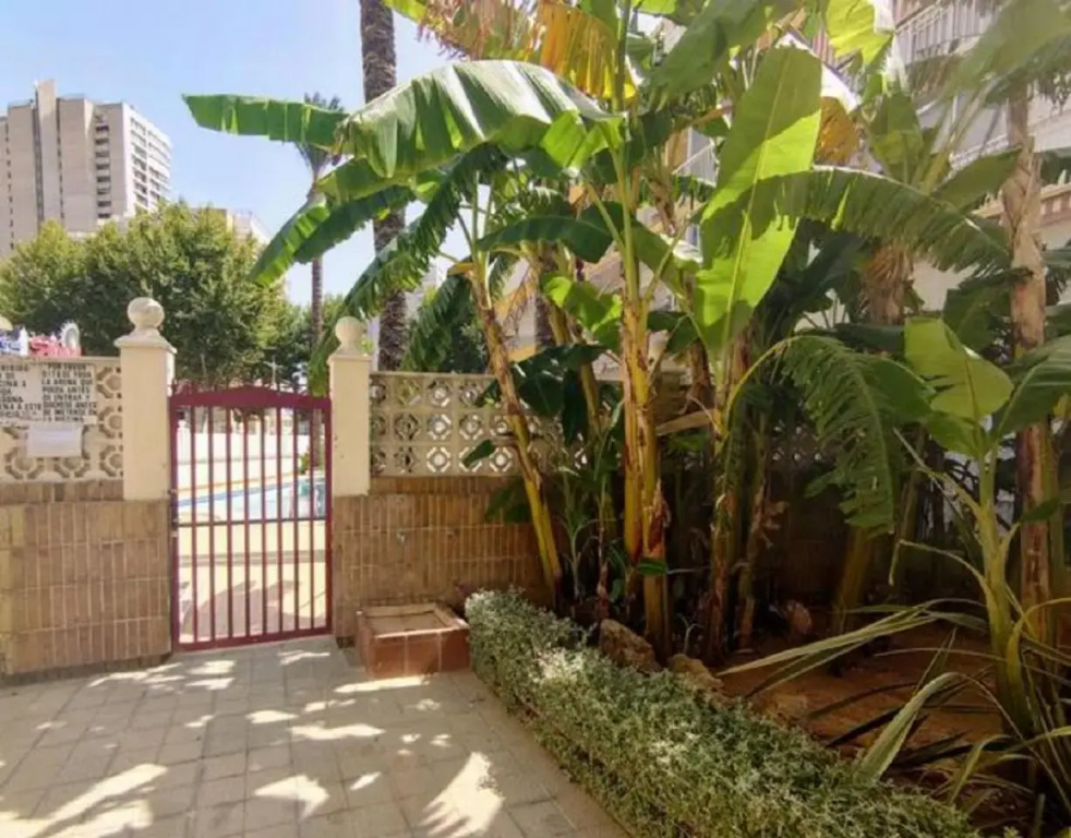 BENIDORM ROCAS ONE, un oasis a 100 metros del mar