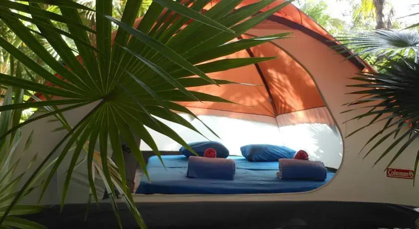 Turquesa Tulum Jungle Camping