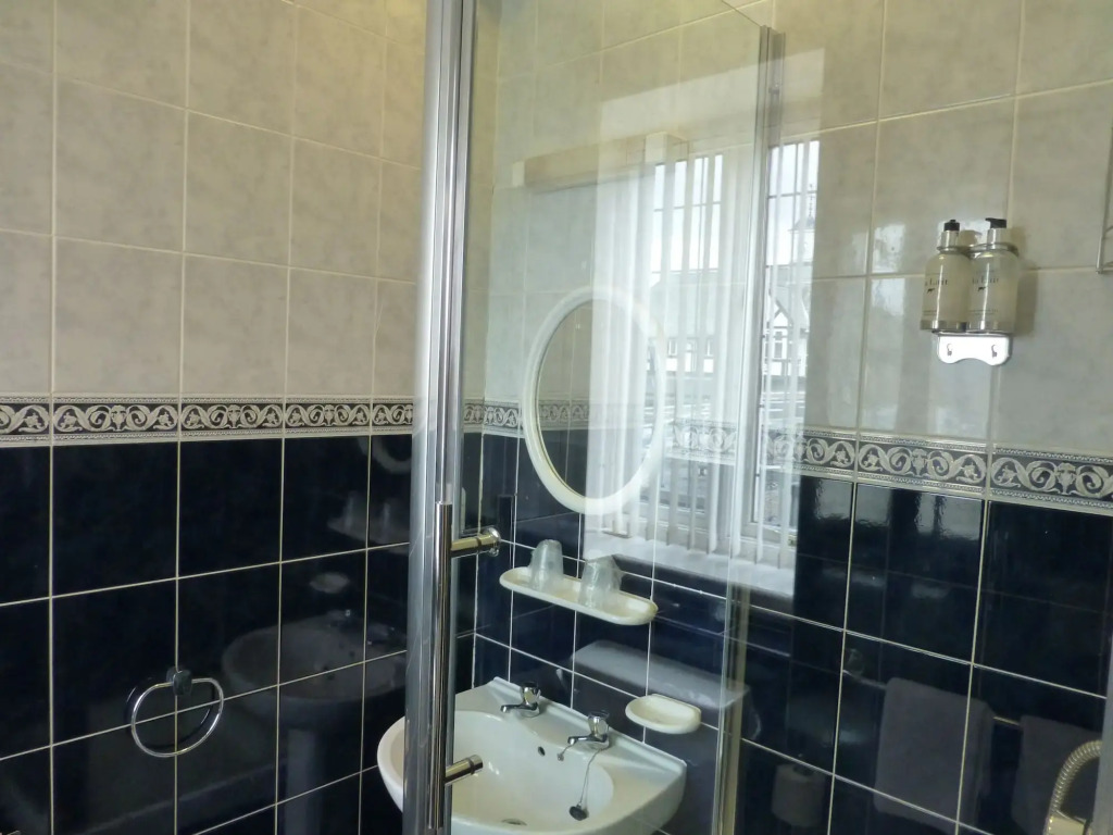 Maes Manor Country Hotel