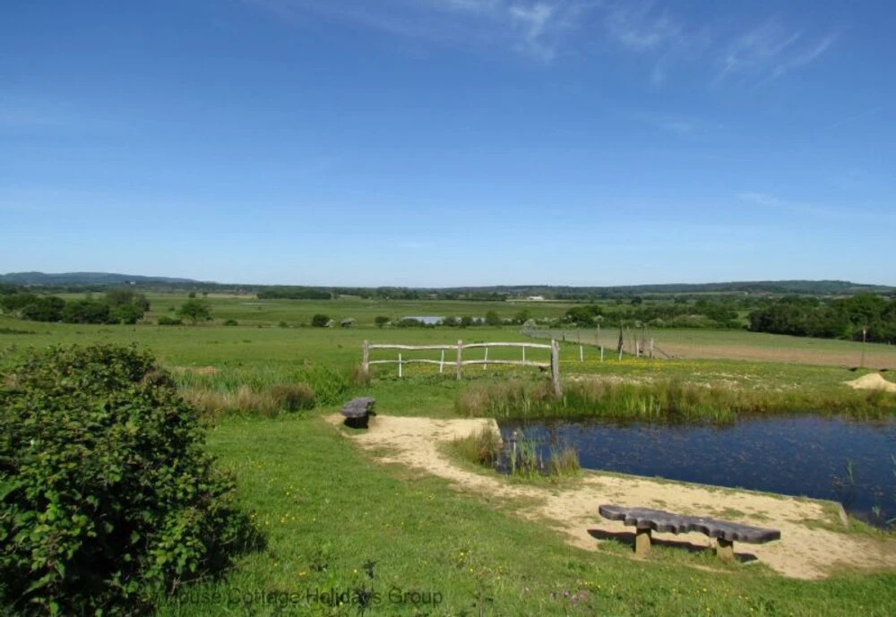 Freeland Farmhouse Stables