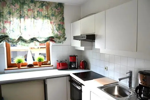 Haus Diel Rose - Helen