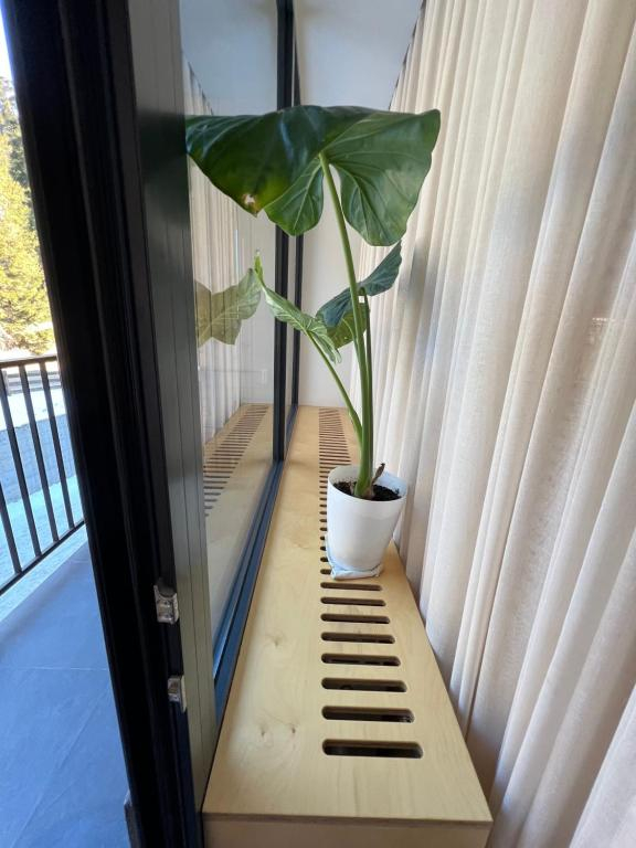 Bakuriani Apartment with Forest Around