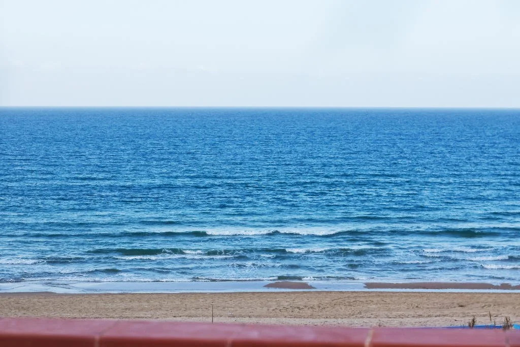 Bosco Mare