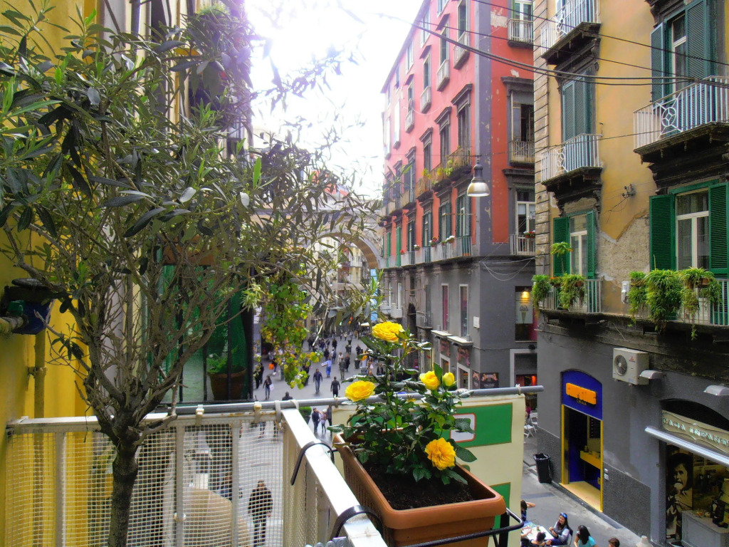 Bed & Breakfast Plebiscito Home