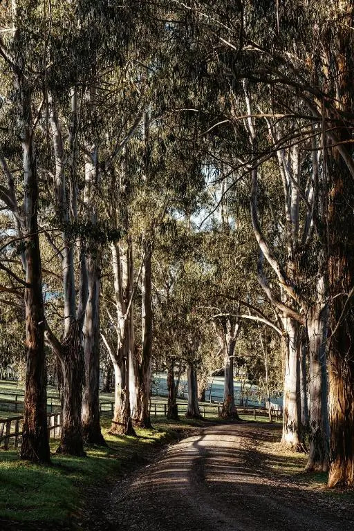 Kangaroo Manor