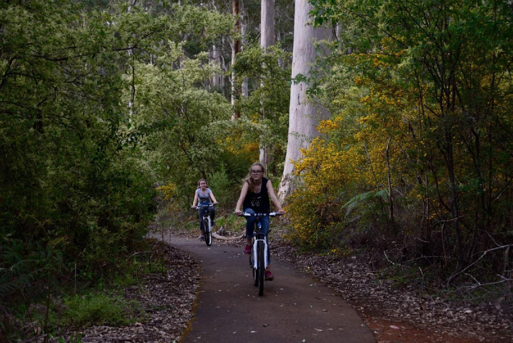 WA Wilderness Camping Experience