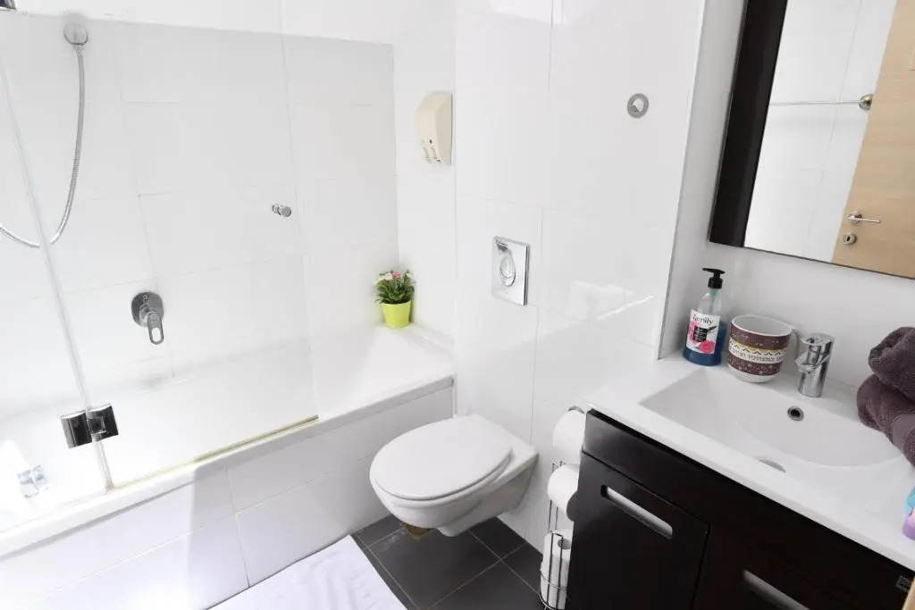 Luxury 4 br/3 bath, city center