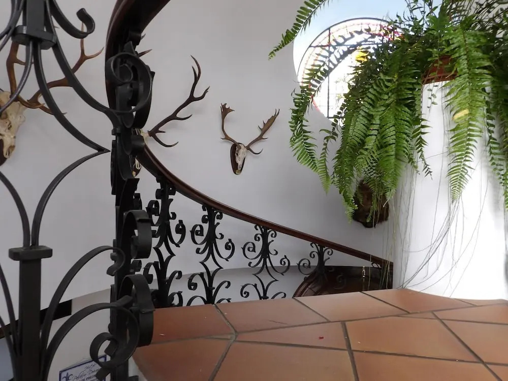 Palacio Doñana , Rural & Luxury