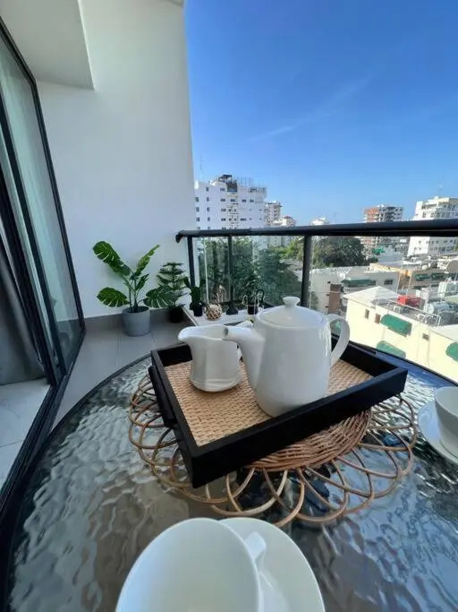 Hermoso apartamento de 1.5 habitaciones, excelente ubicación en SDQ