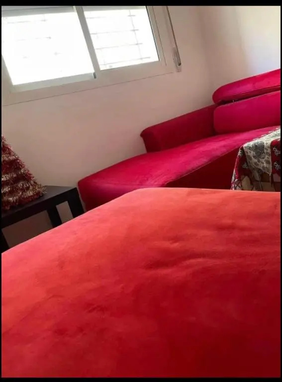 Appartement Moderne o6 3 7 7o 23 36