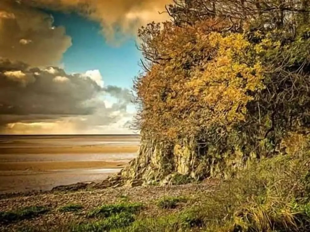 The Silverdale Hotel