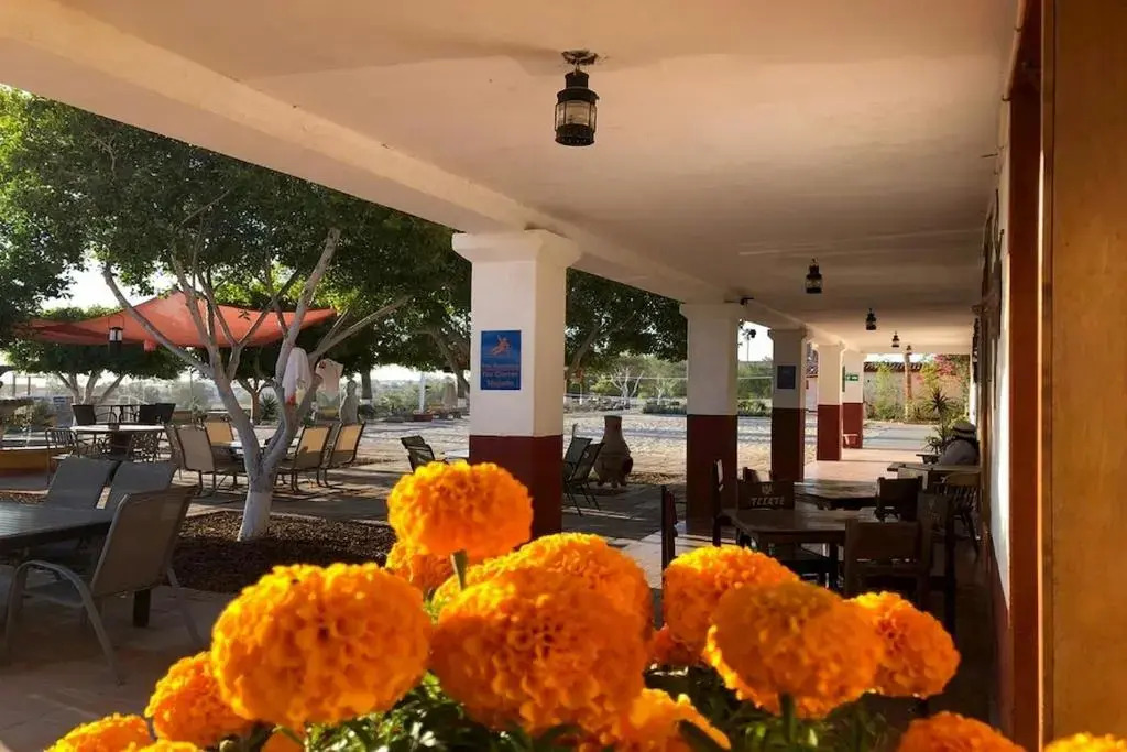 Hotel Las Palmas