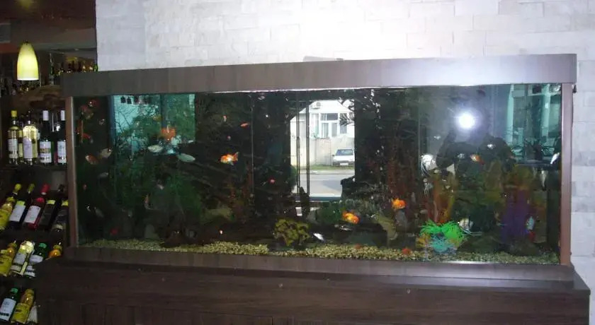 Hotel Jennifer