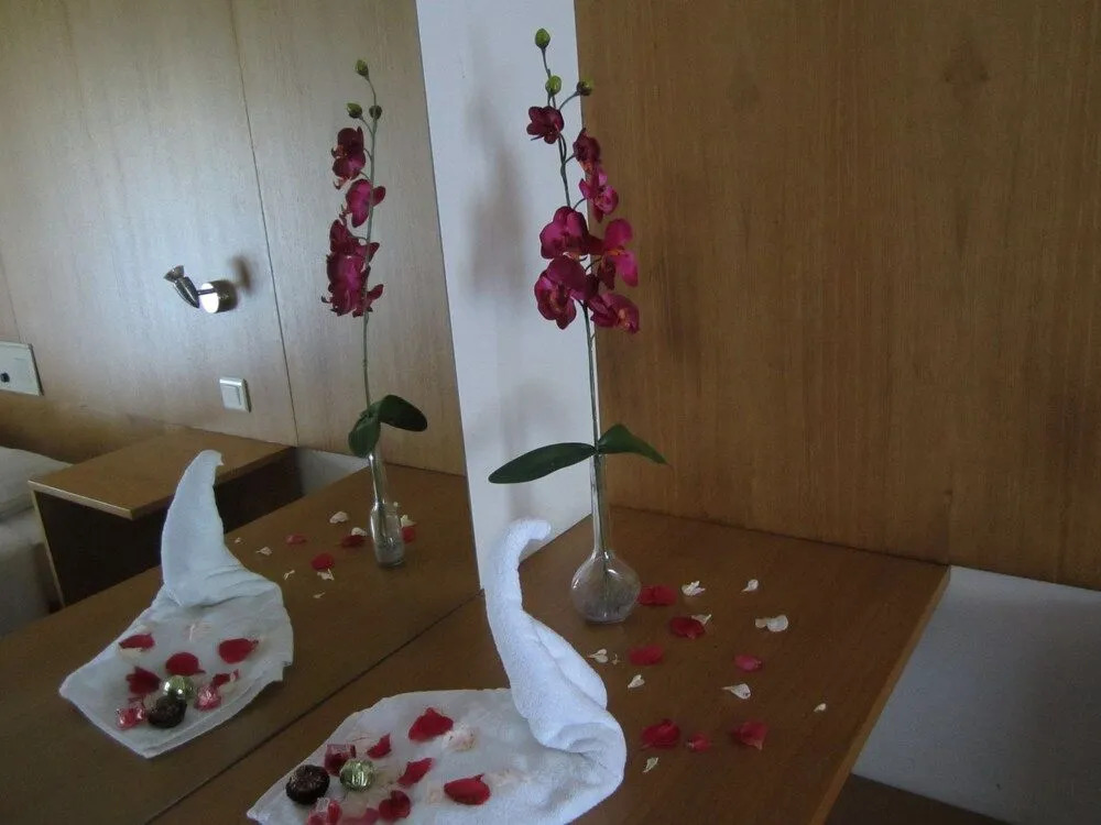 Eco Salvador Hotel