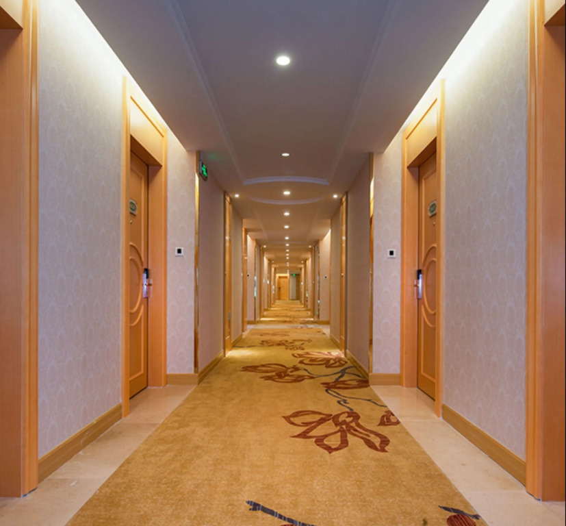 Vienna International Hotel Shenzhen Dameisha