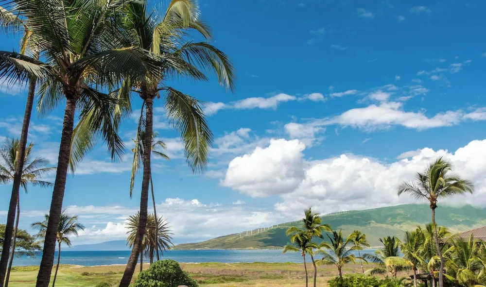 Boutique Oceanfront Studio Vistas