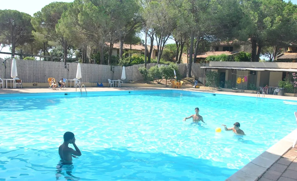 Una pineta sul Mare