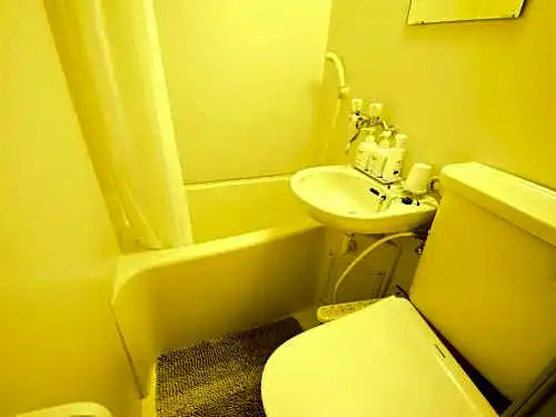 Togari Onsen Alpine Plaza - Vacation STAY 02277v