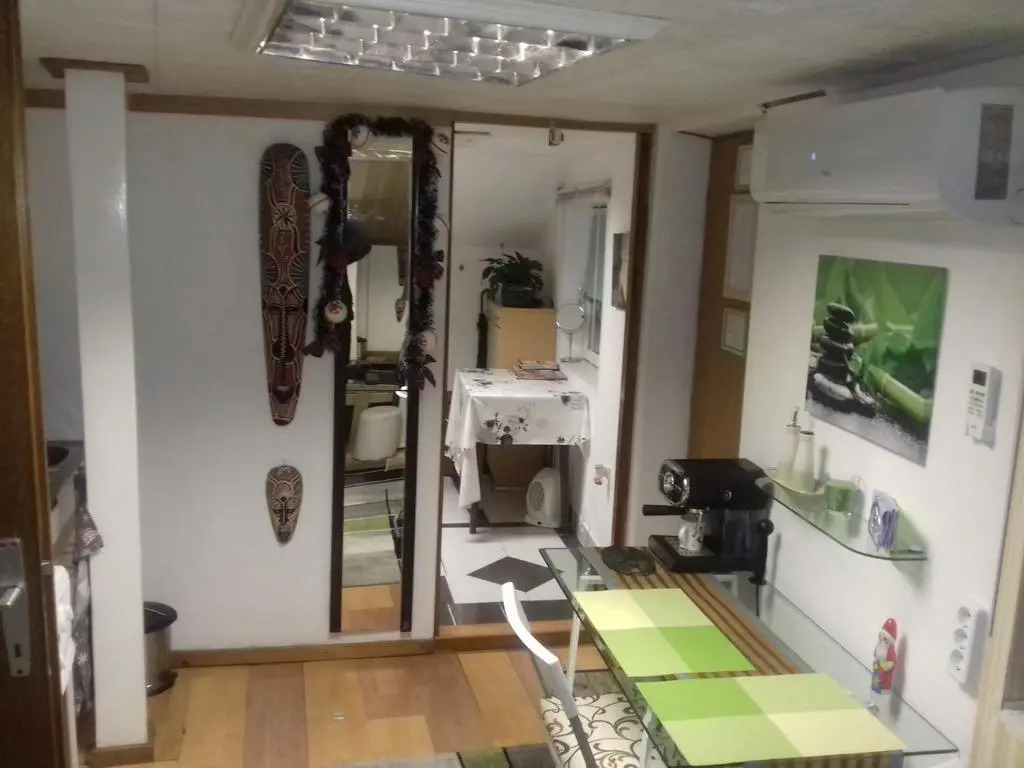 APARTMENT " Studio Green "