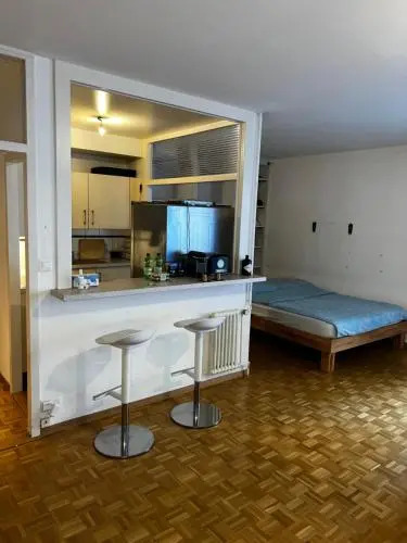 Beautiful Large Studio in center of Geneva Free Wifi
