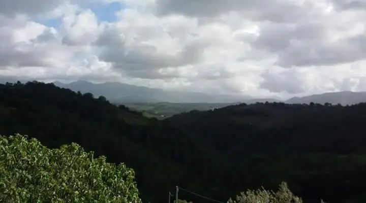Agriturismo Isola Verde