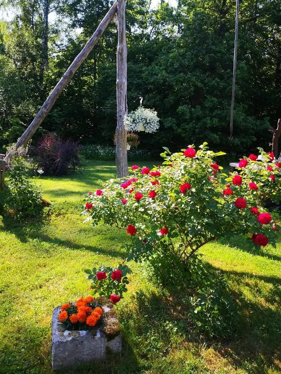 Kotka Farm
