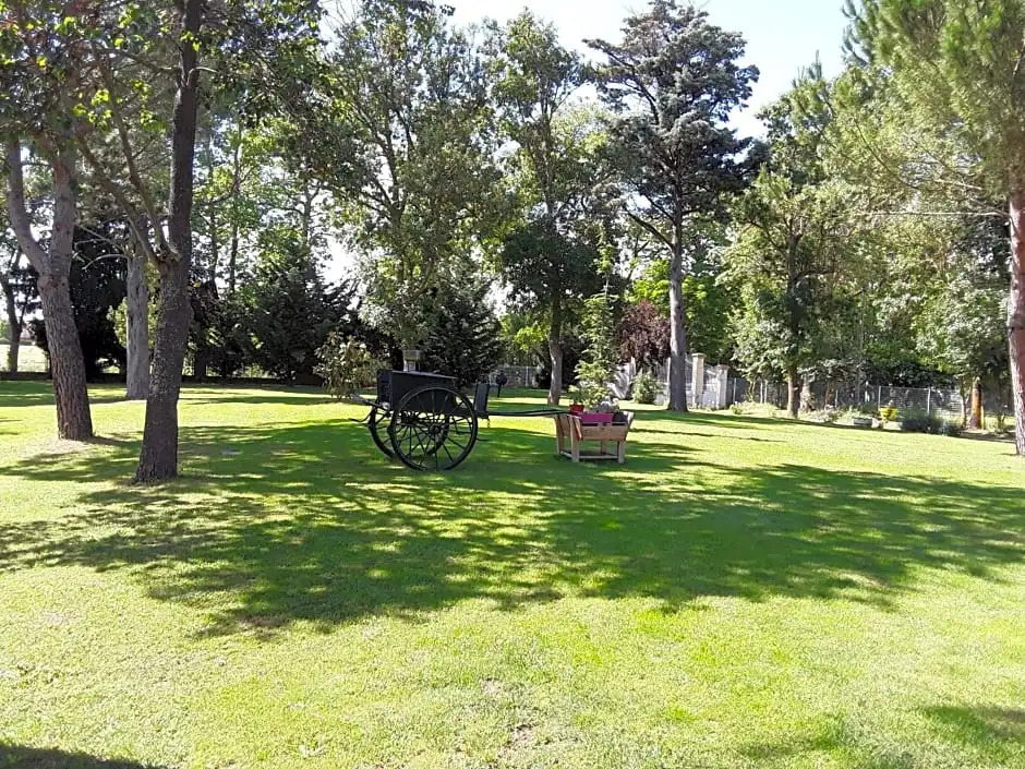LA LOUISIANE 31