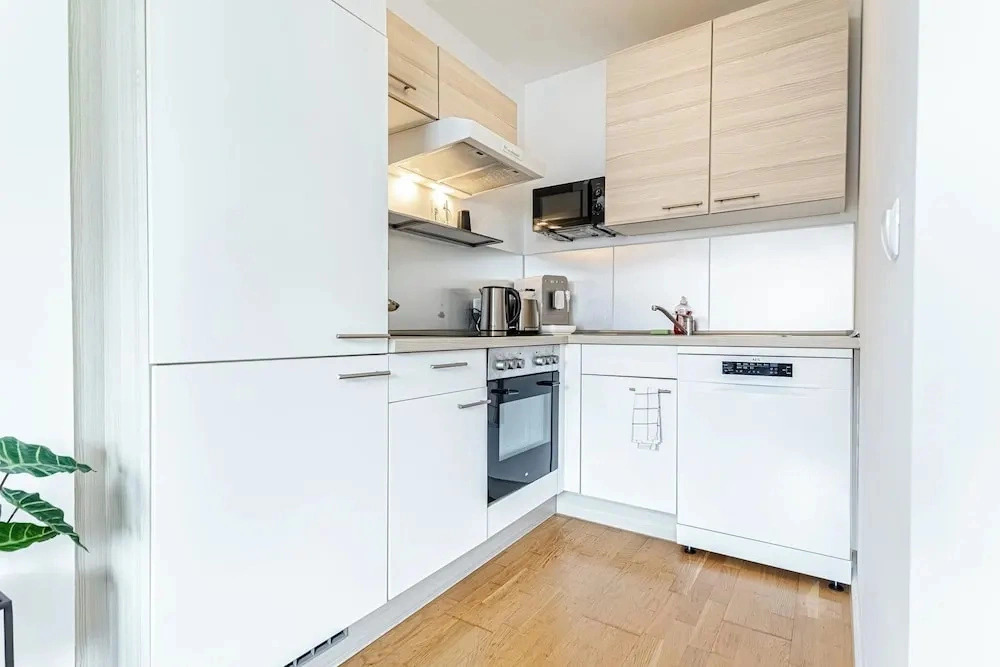 Chic 1BR with 1LV Apt In Central Vienna