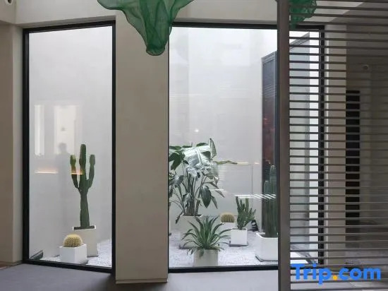 Xianju Chun and Qingxi Homestay