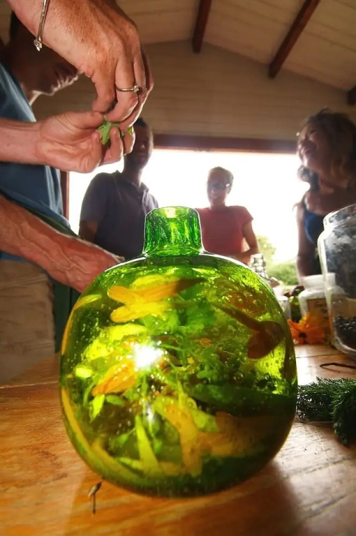 Green Cart Farm
