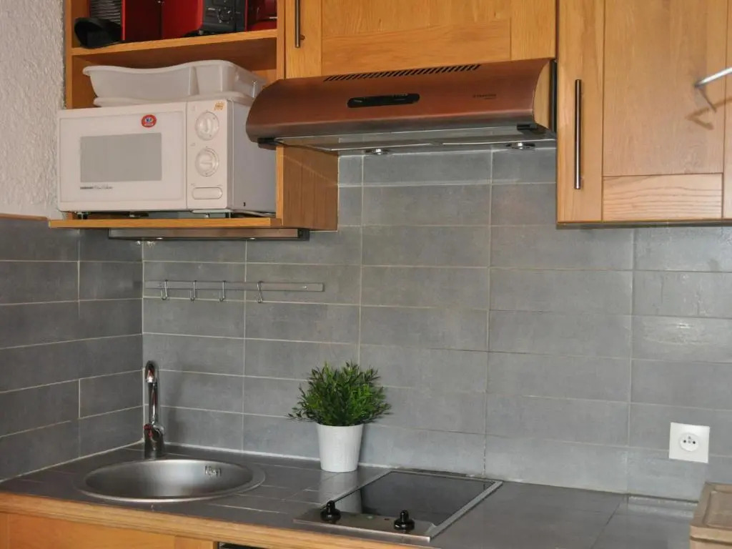 Appartement Les Deux Alpes, 1 pièce, 4 personnes - FR-1-348-227