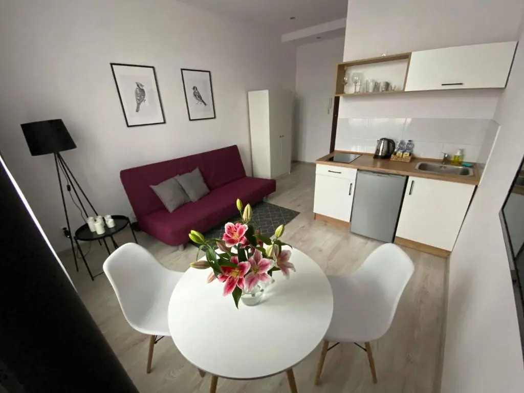 Apartamenty Centrum Zameldowanie 24h