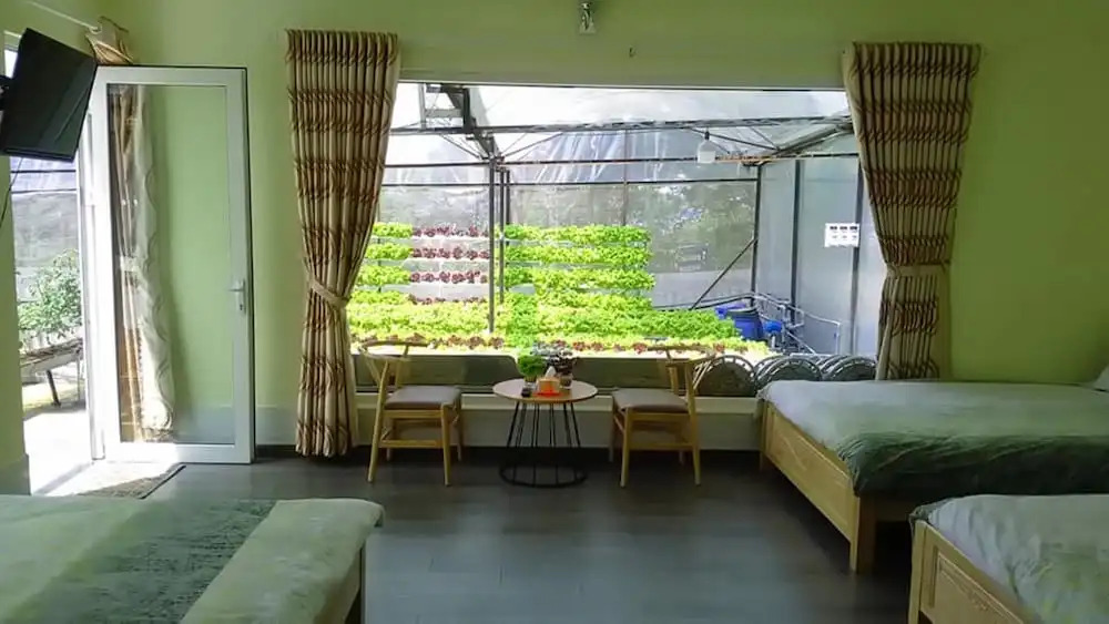 Vườn Nhà Đan Homestay
