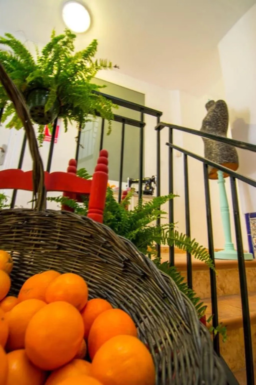 San José Guest House