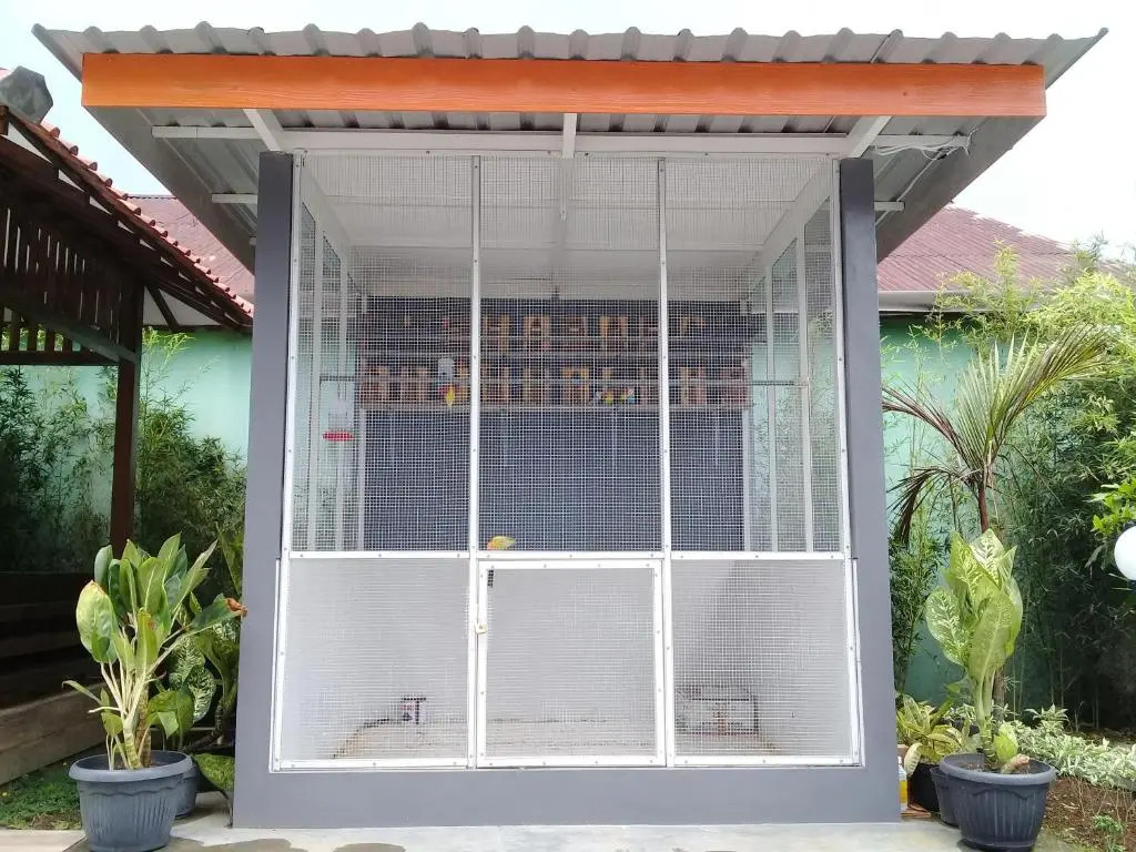 Wisma Lovebird