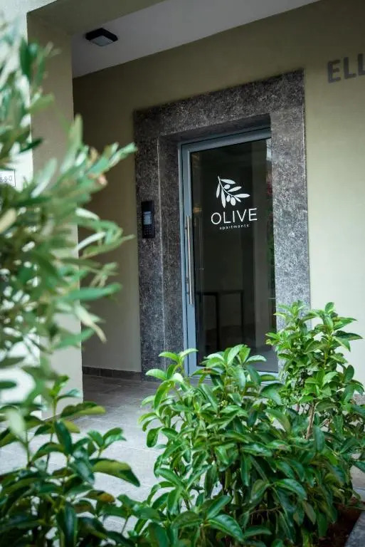 Olive 301