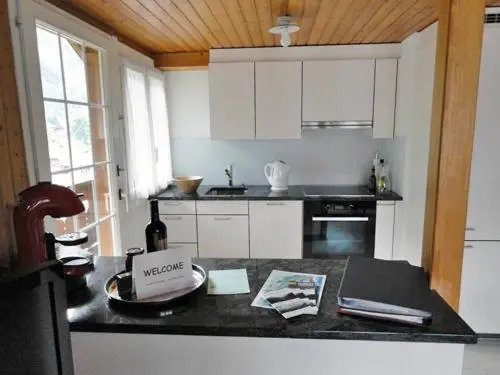 Apartment Pironnet