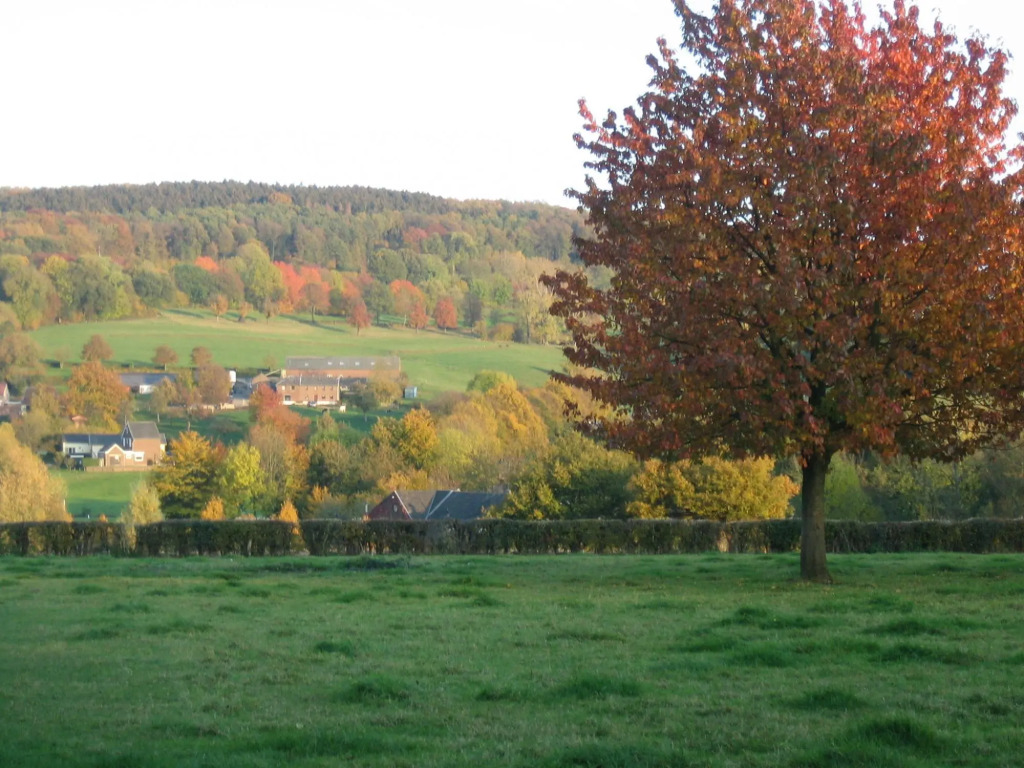 Holiday Home in Epen With Garden & BBQ