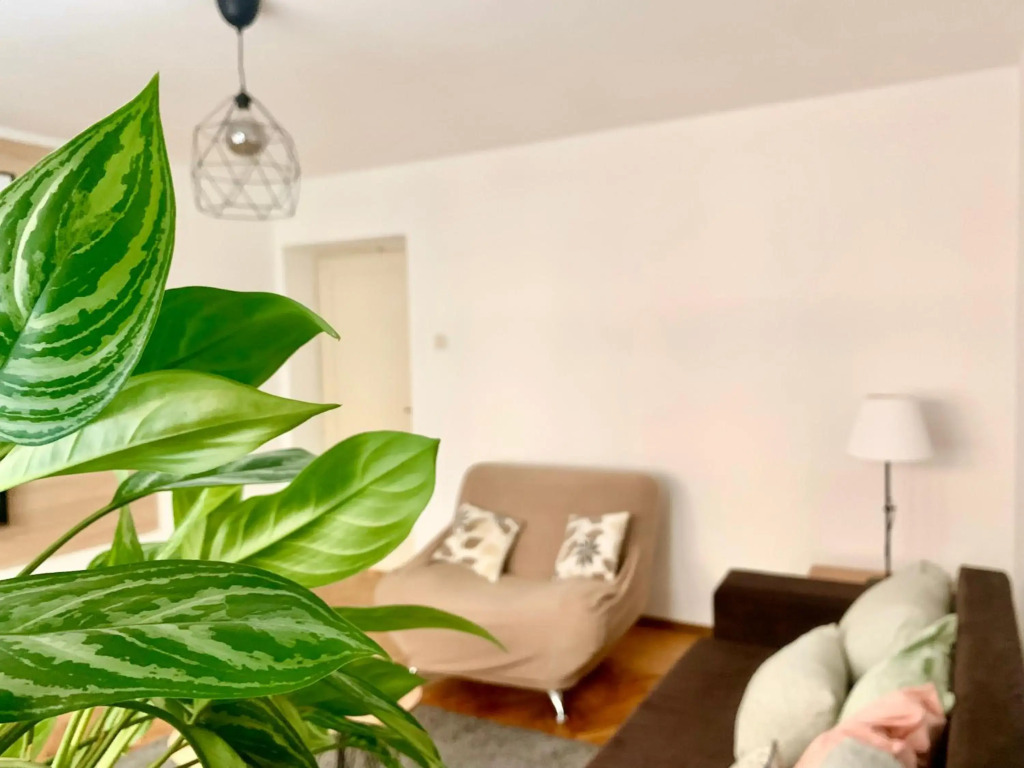Star apartment 2