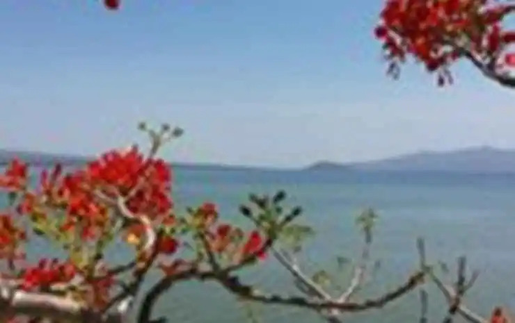 Marina Bima Hotel