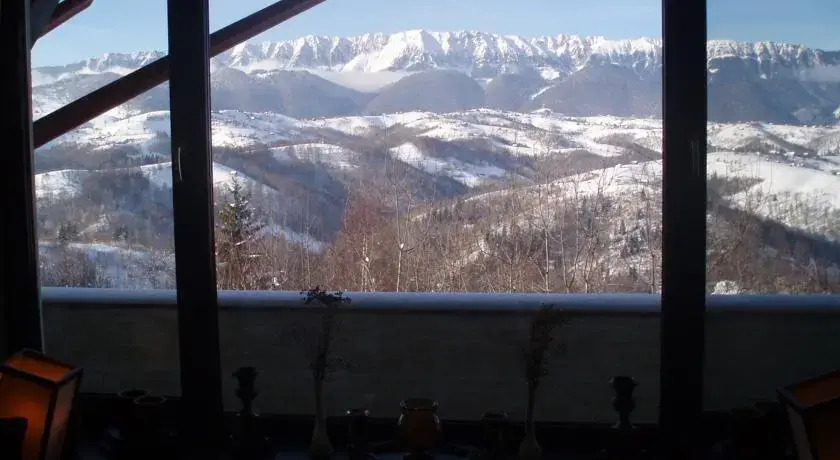 The Garden Resort