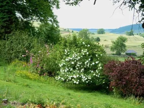 Firwood Country Bed & Breakfast