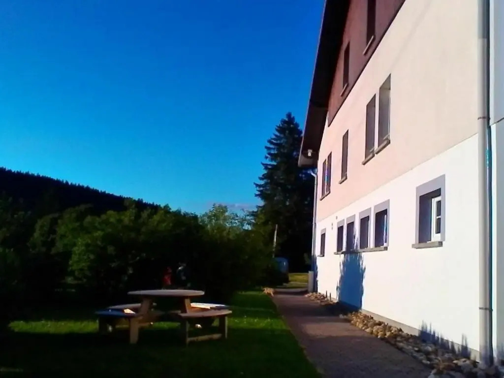 Gîte à Gérardmer - Proche lac et pistes, Chem cheminée, 2 chambres - FR-1-589-108