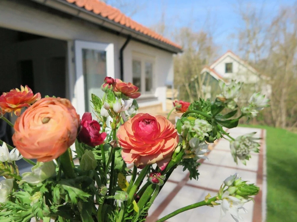 Holiday Home in Dishoek near Southern Beach