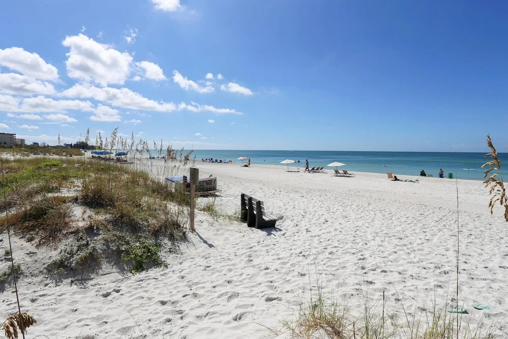 The Cottages at Madeira Beach/sea Turtle