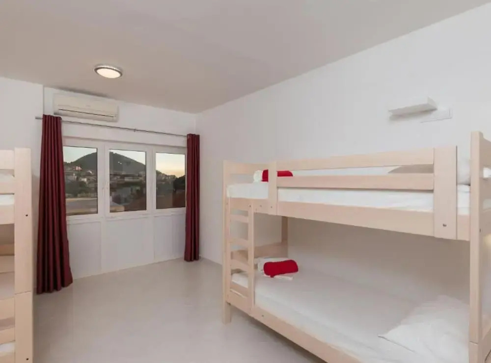 Hostel Free Bird