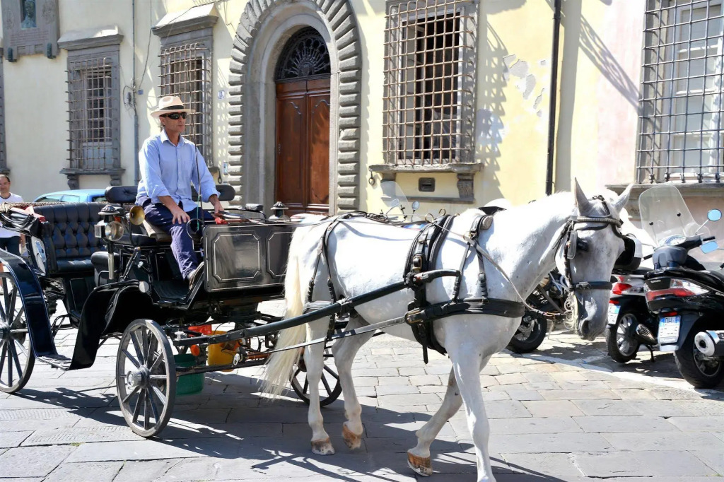Dimora Dei Guelfi