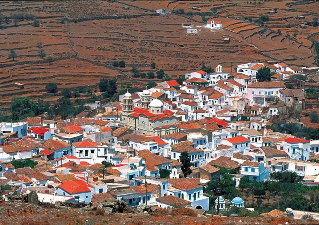 Dryopida House