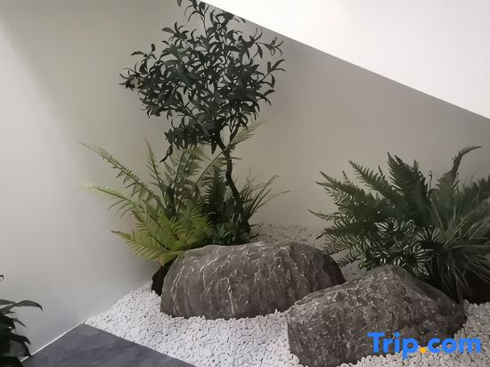 Shanghai Lingang Dishui Lake Yilitang North Homestay