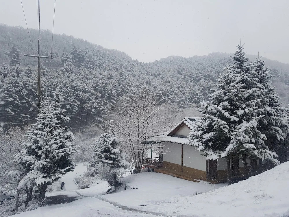 Hwaya Mountain Pension